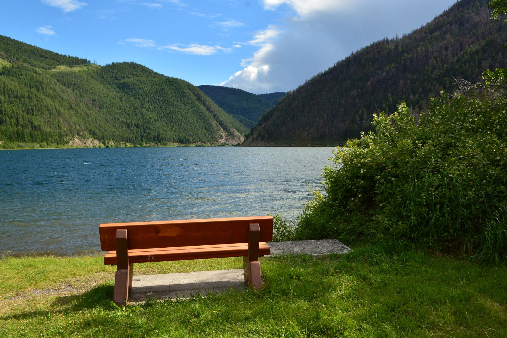 A wooden bench with a view of Kelly Lake in Downing Park.