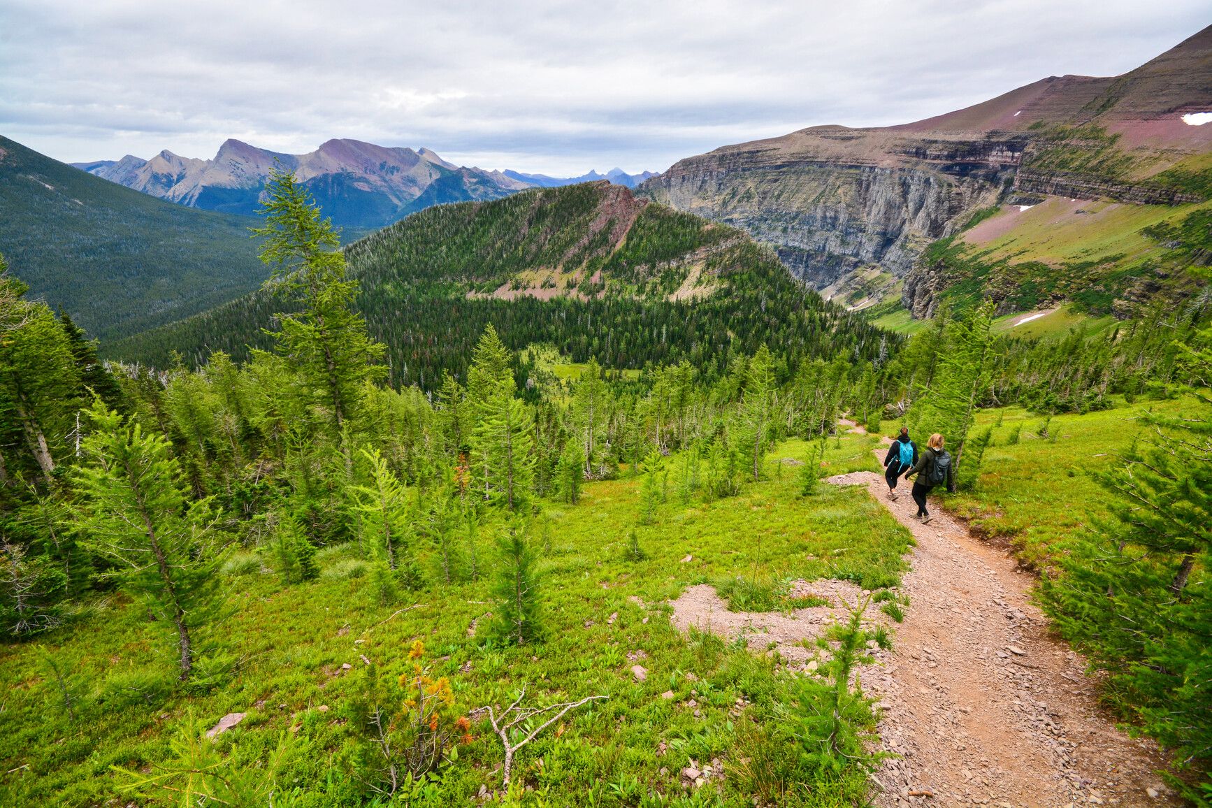Hikers descend a mountain trail with views of mountains and forests. Akamina-Kishinena Park.