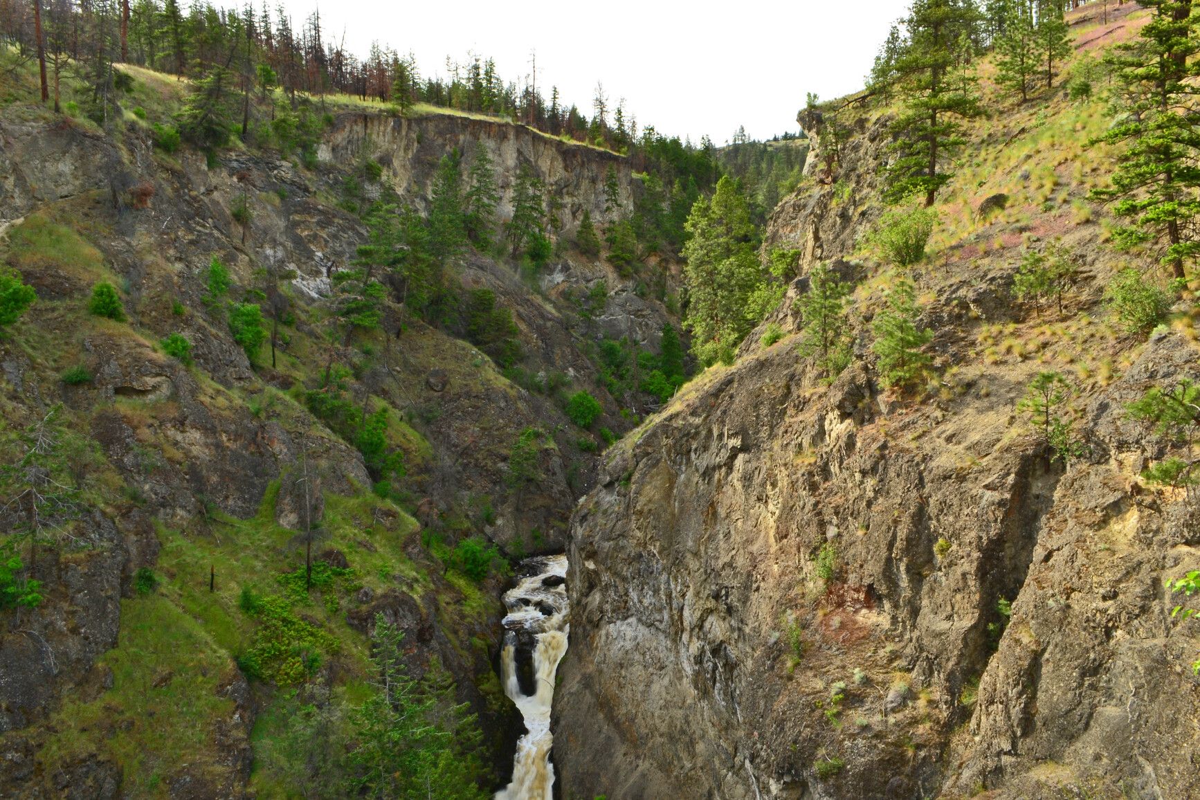 Bear Creek Falls canyon.