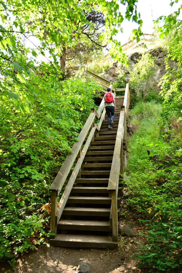 Park visitors climbing stairs on the trail in Bear Creek Park.
