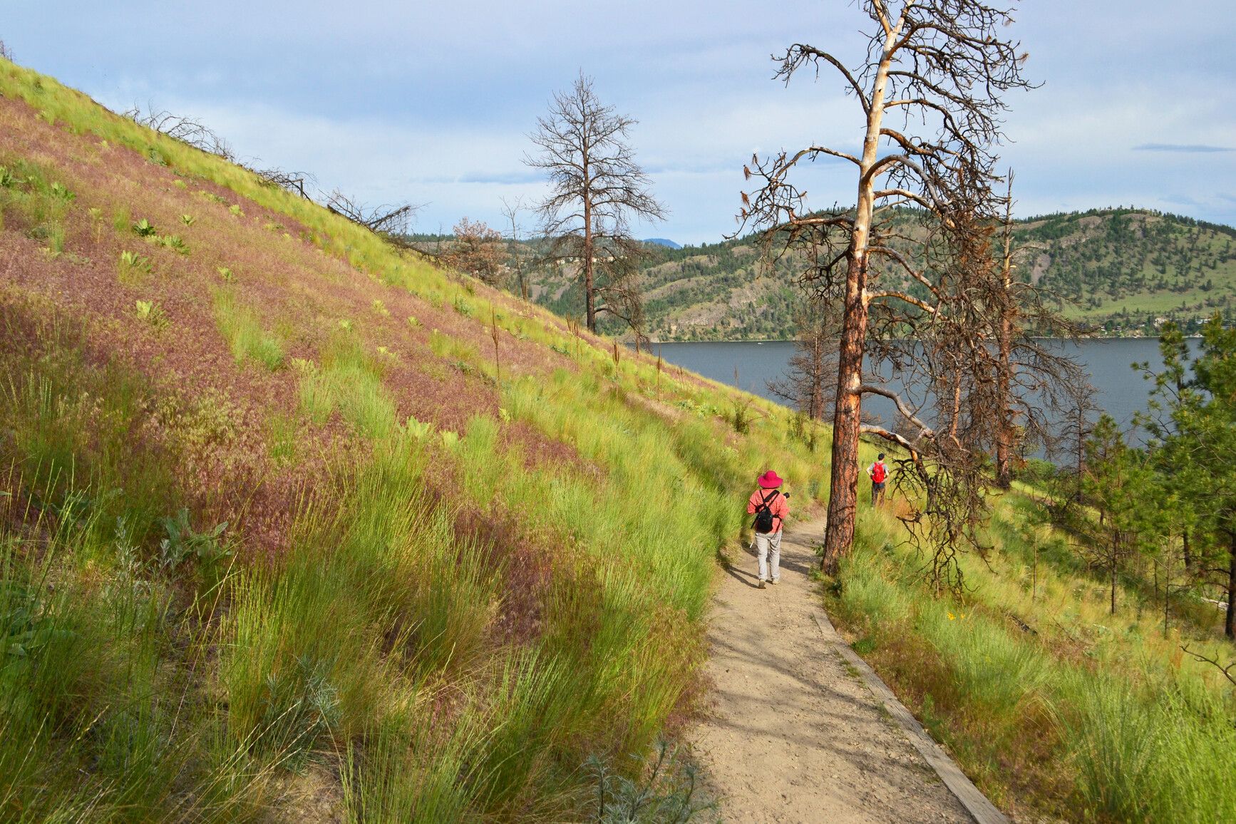 A park visitor walks a trail in Bear Creek Park. In the background is Okanagan Lake.