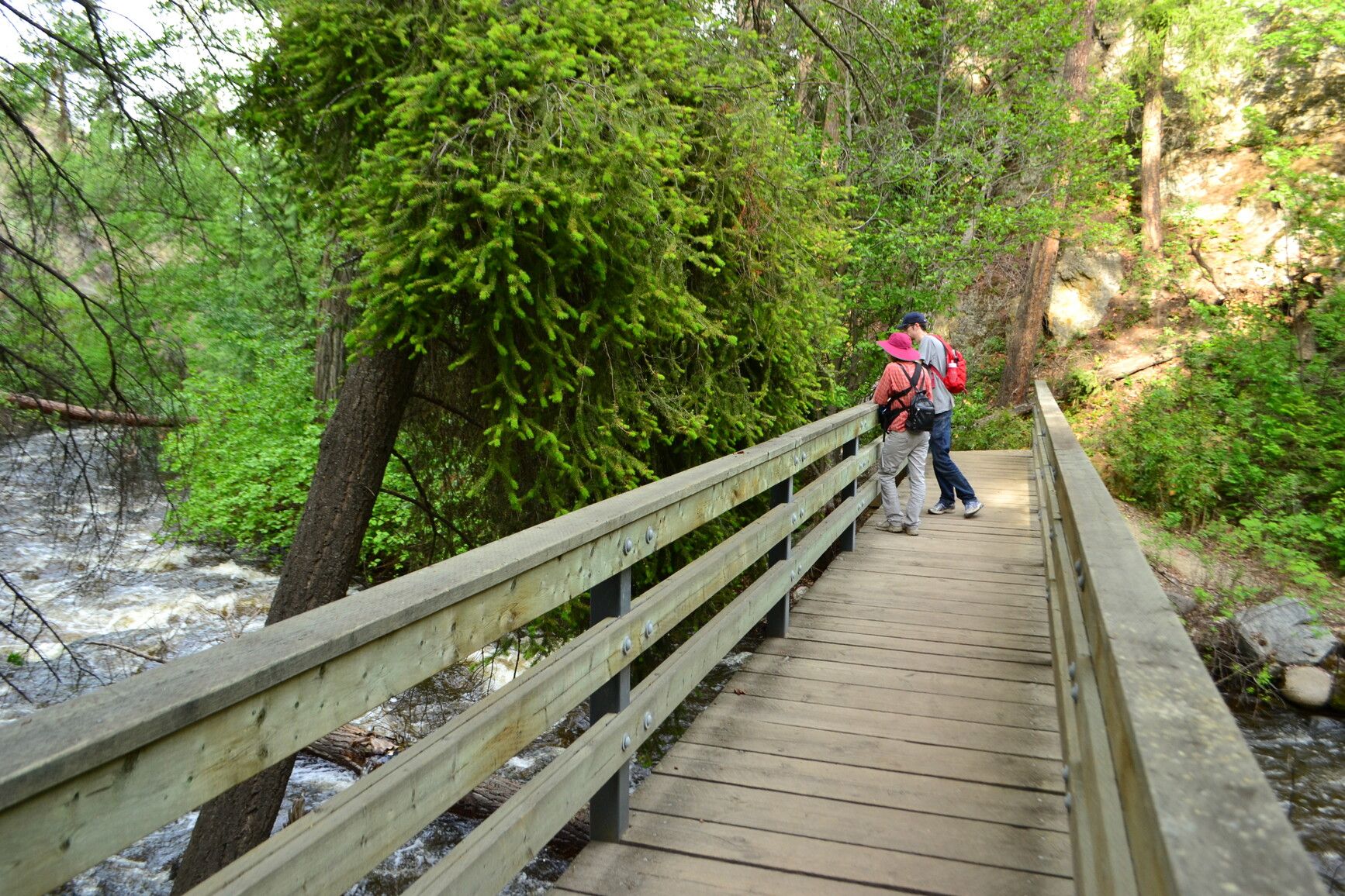Park visitors enjoying a view of Bear Creek from a bridge.