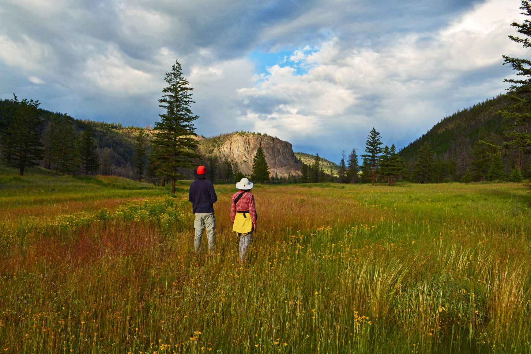 Park visitors hiking through a meadow in Bull Canyon Park.