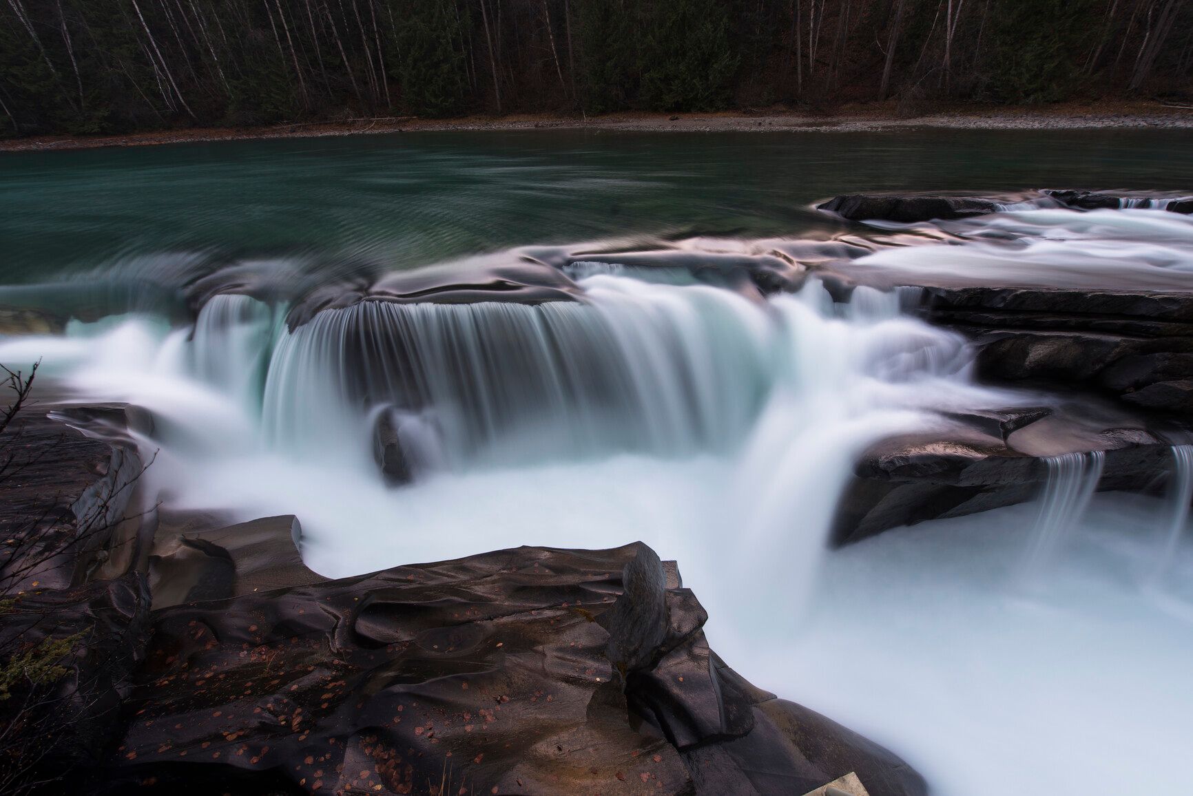 The Fraser River flowing over the falls in Rearguard Falls Park.