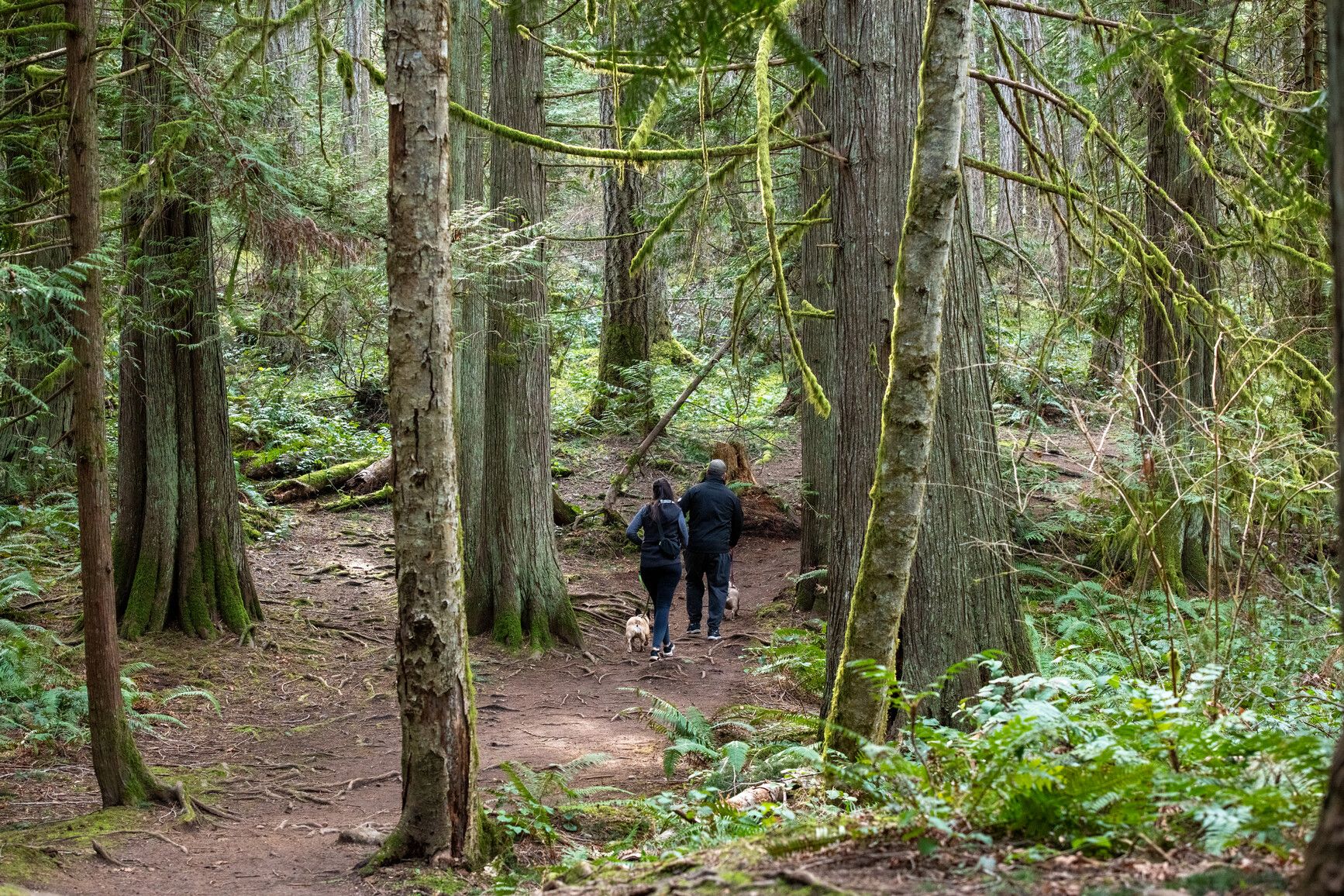 Hikers walk a trail in Roberts Memorial Park.