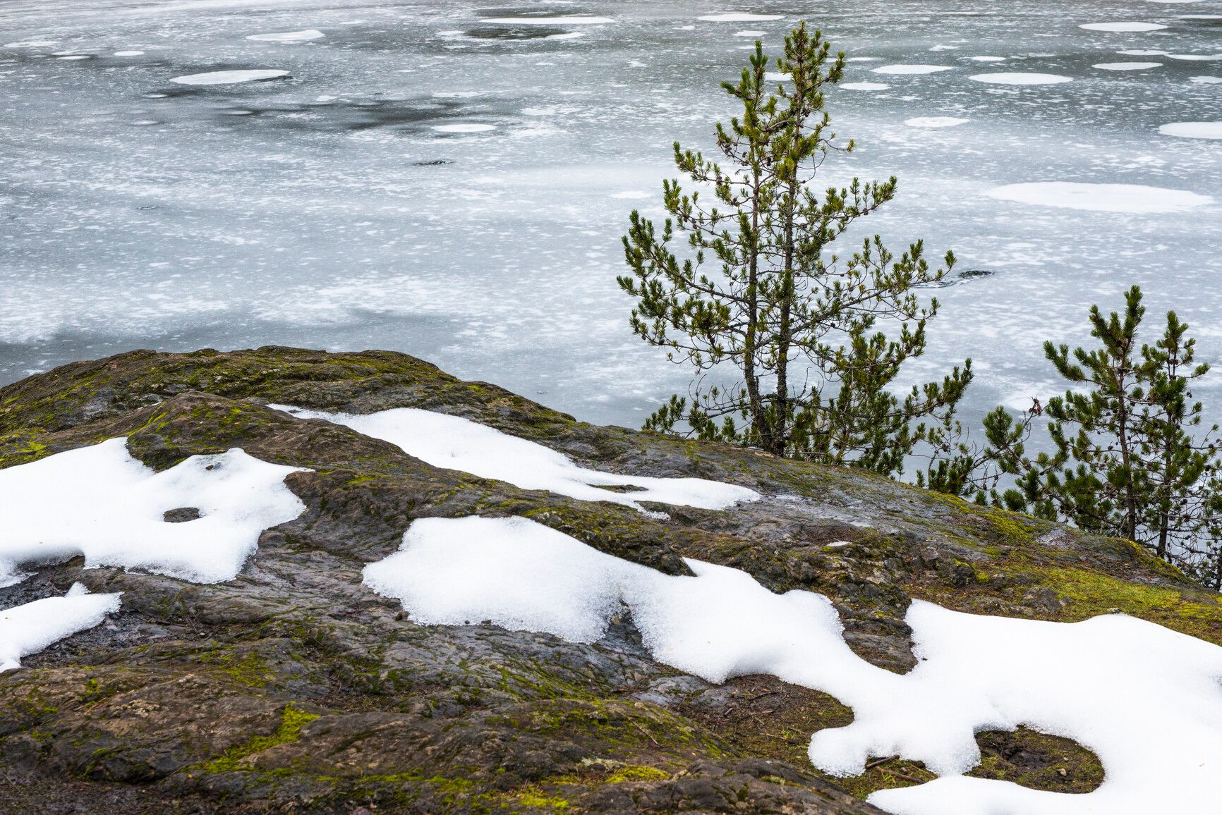 Snow and moss covered rock surface with the frozen lake behind. Spectacle Lake Park.