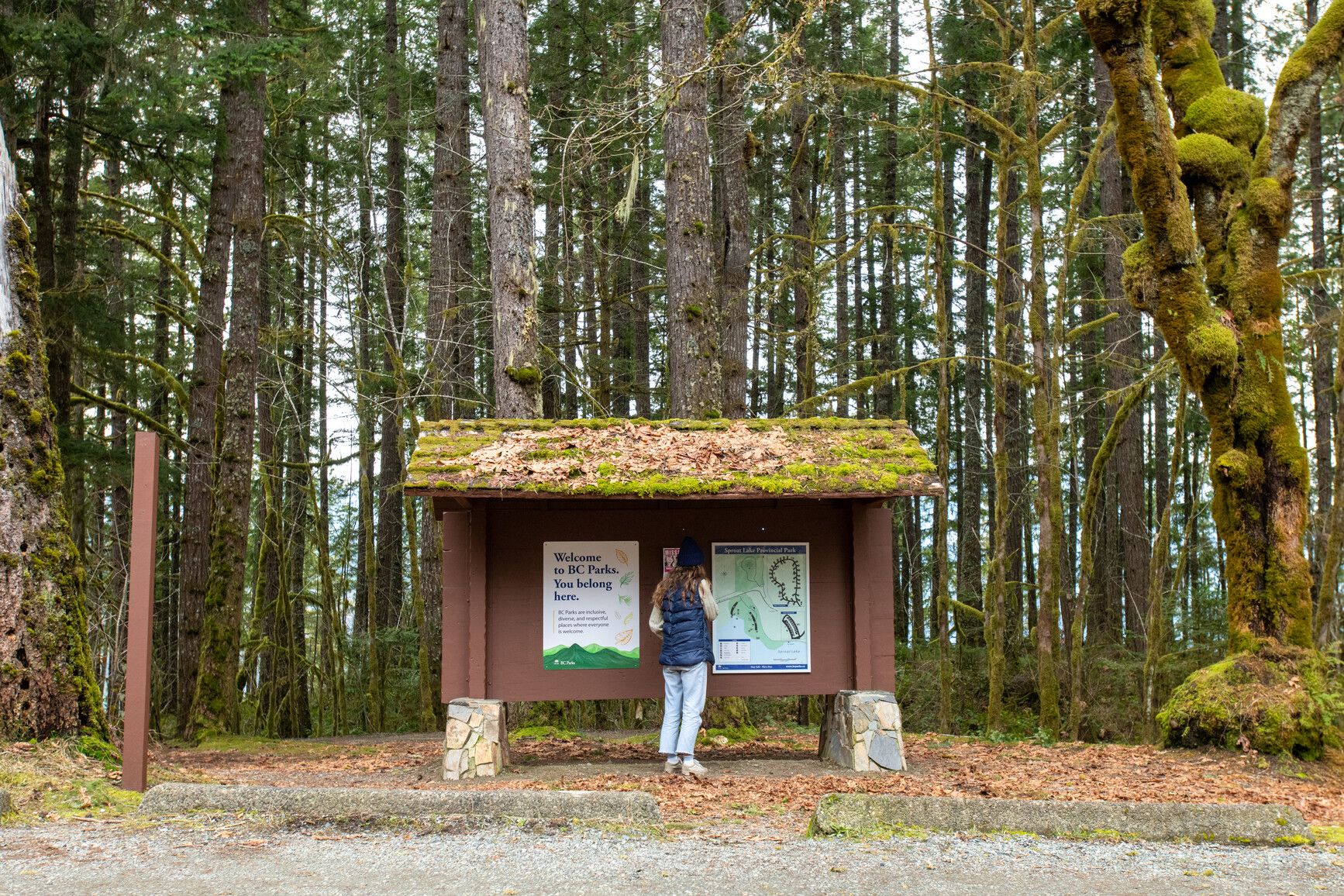 A park visitor reads the information signs for Sproat Lake Park.