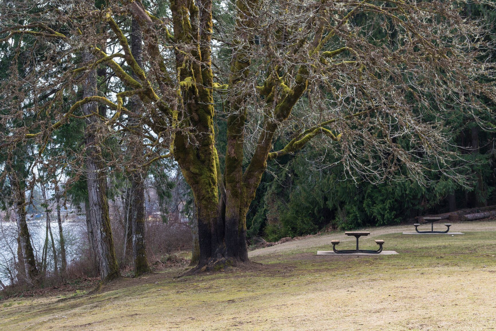Day use picnic area in West Shawnigan Lake Park.