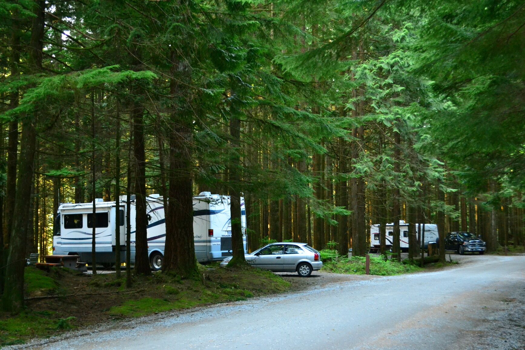A campground in Golden Ears Park.