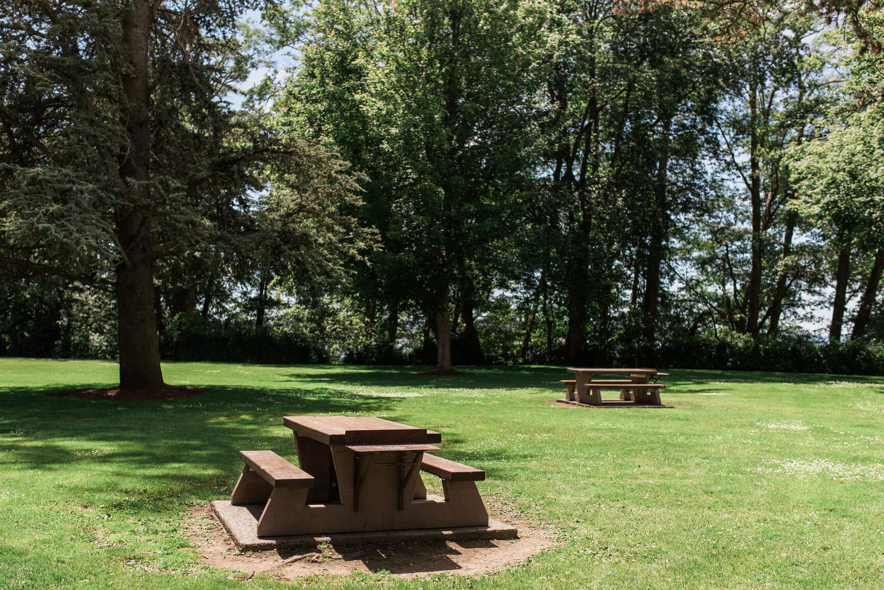 Picnic tables in the day-use area in Peace Arch Park.