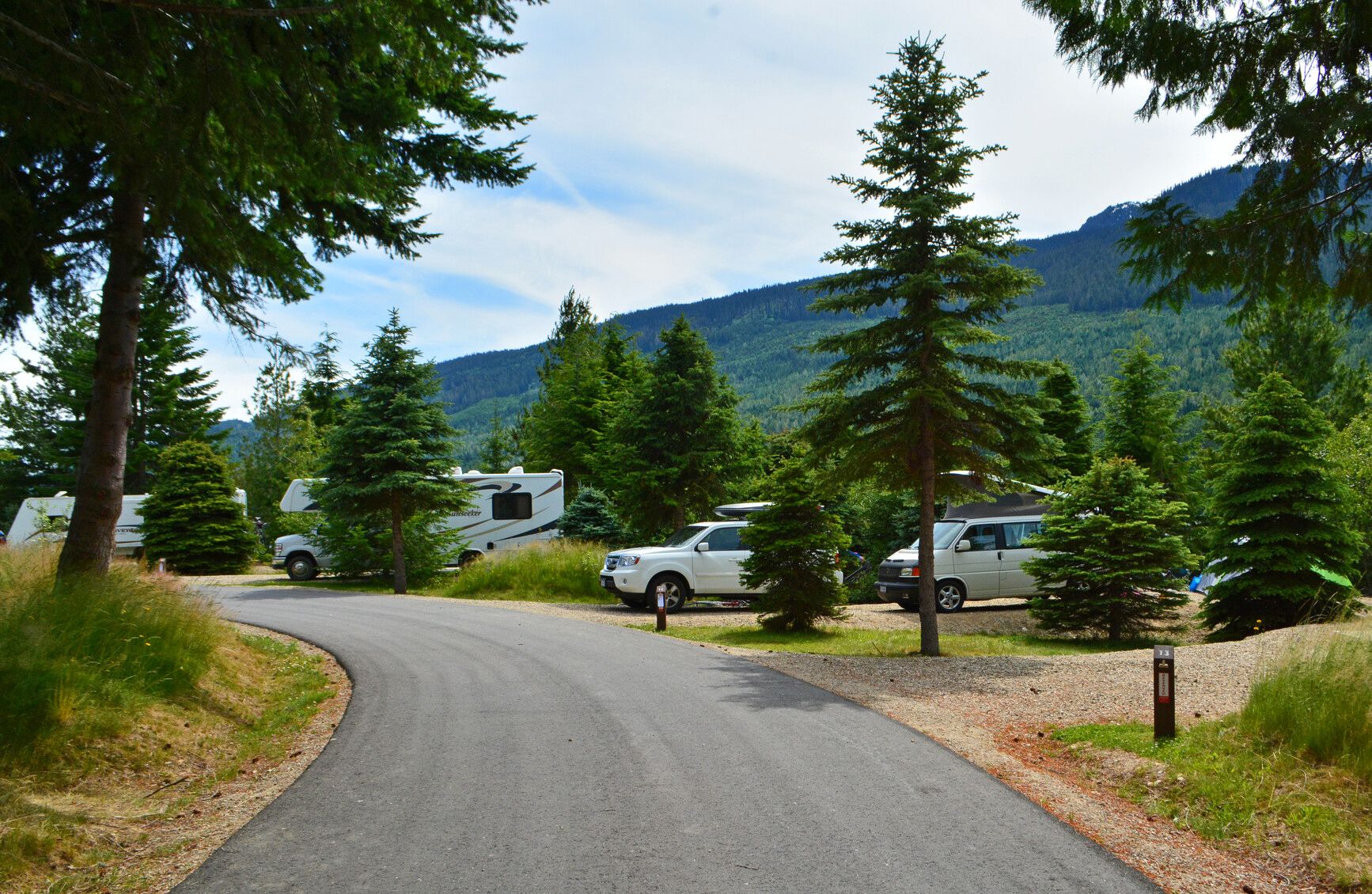 Campsites and a paved road leading through the campground in Martha Creek Park.