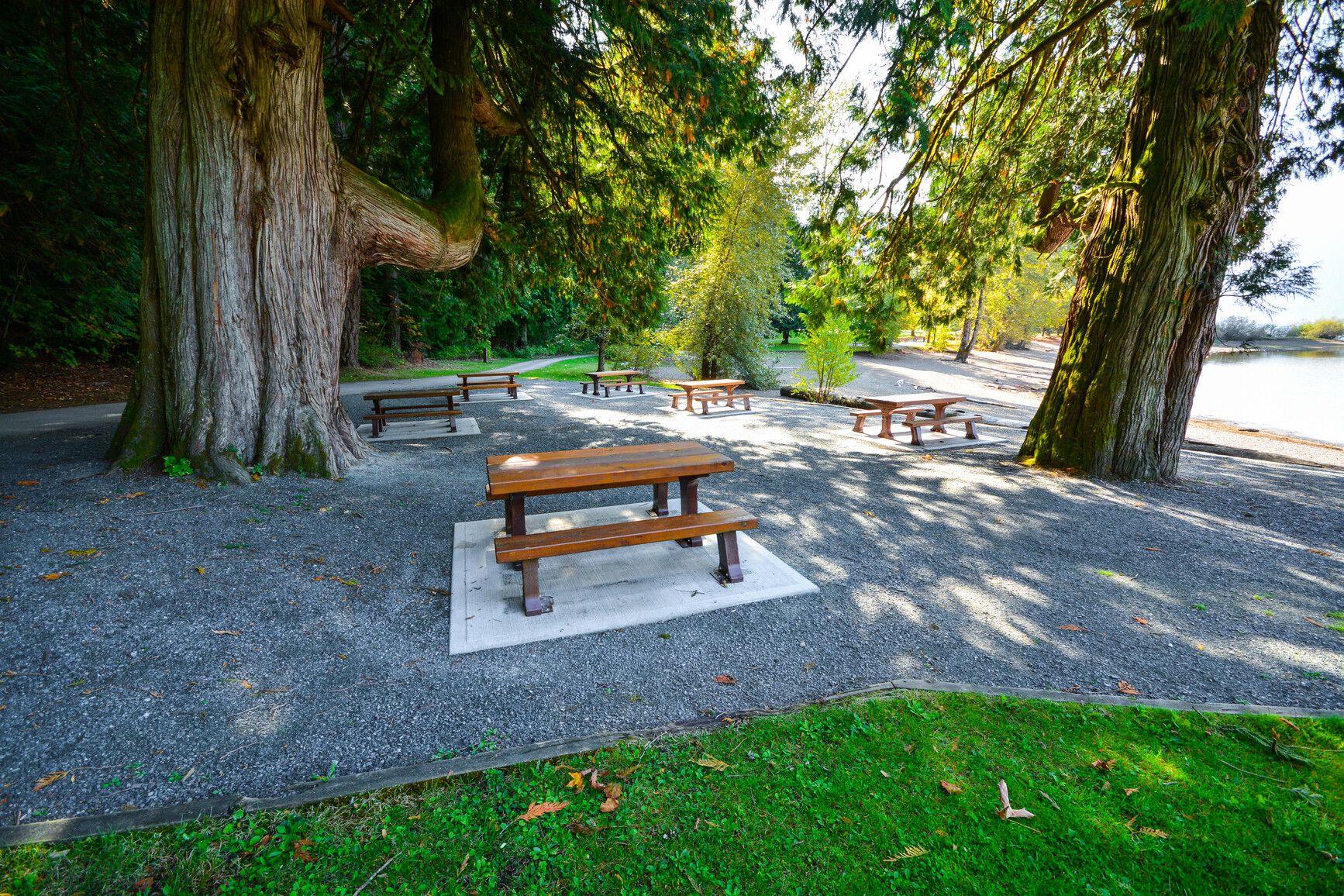 Picnic area with large trees near the sandy shore of the lake. Sasquatch Park.