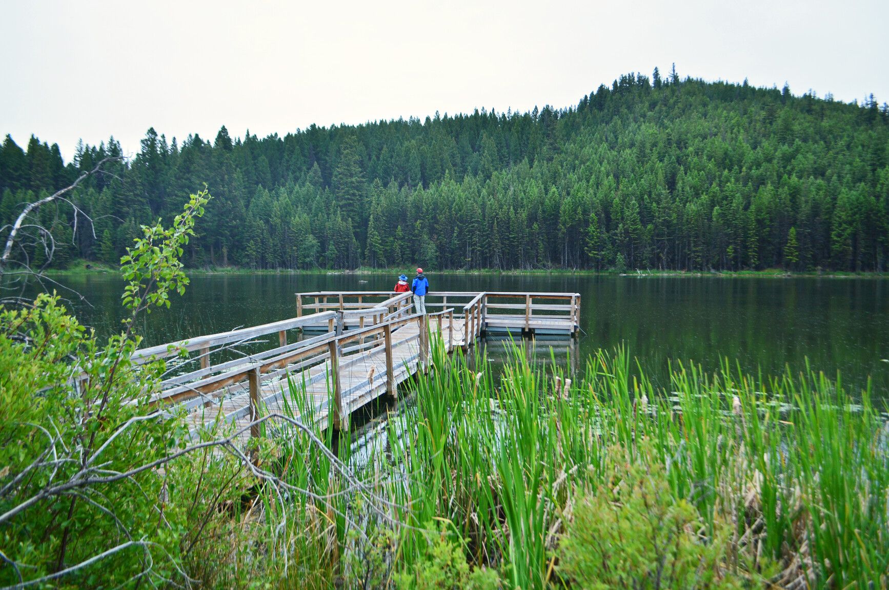 Park visitors take in the view of the lake and forest from the dock in Roche Lake Park.