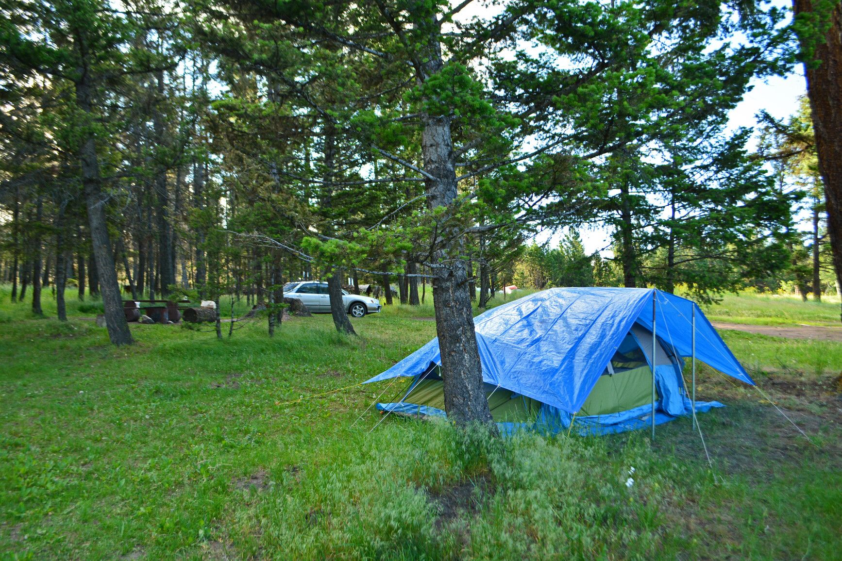 A rustic campsite at Roche Lake Park.