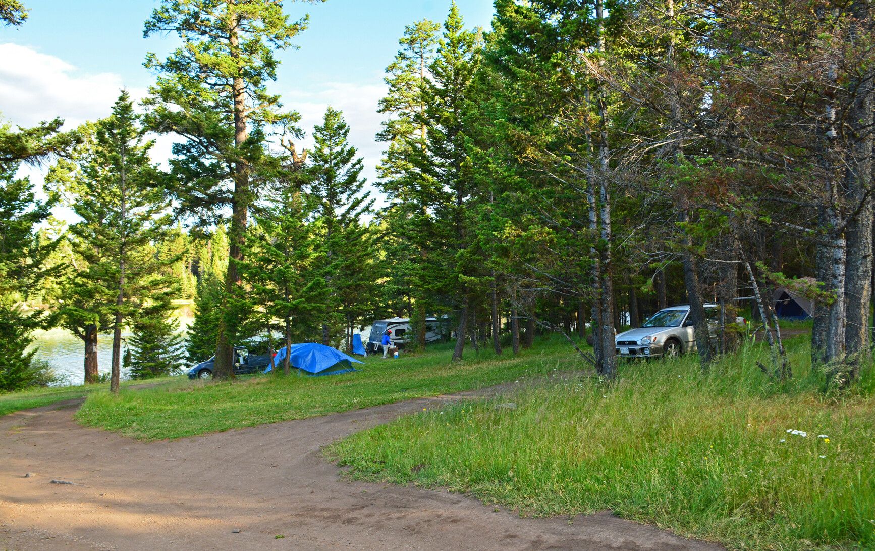 Campsites near the lake in Roche Lake Park.