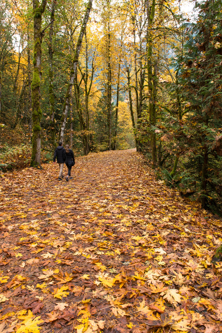 Couple walking on a trail with scattered fallen leaves on a nice fall day.