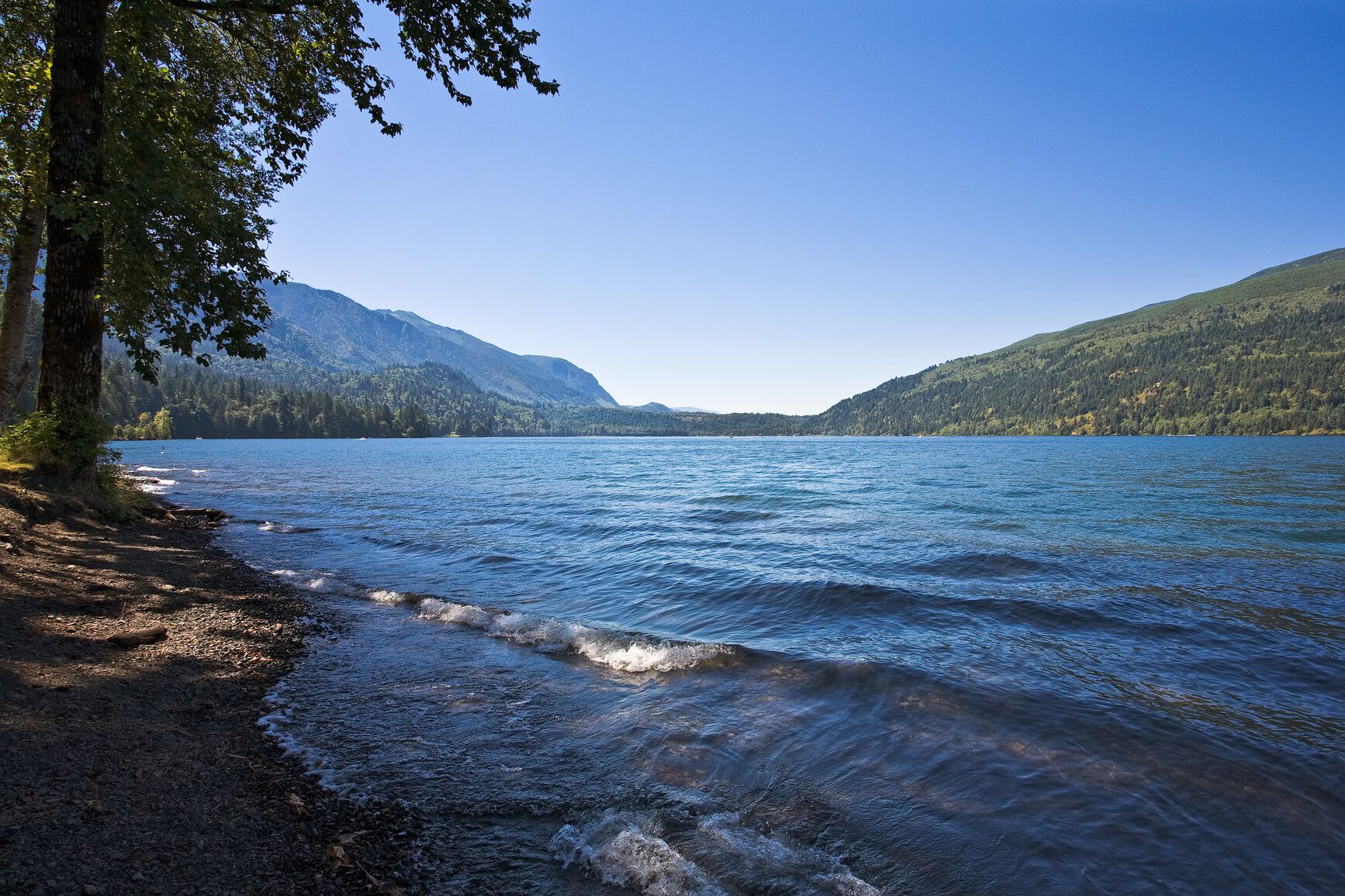 A view of the lake with a clear blue sky above. Cultus Lake Park.