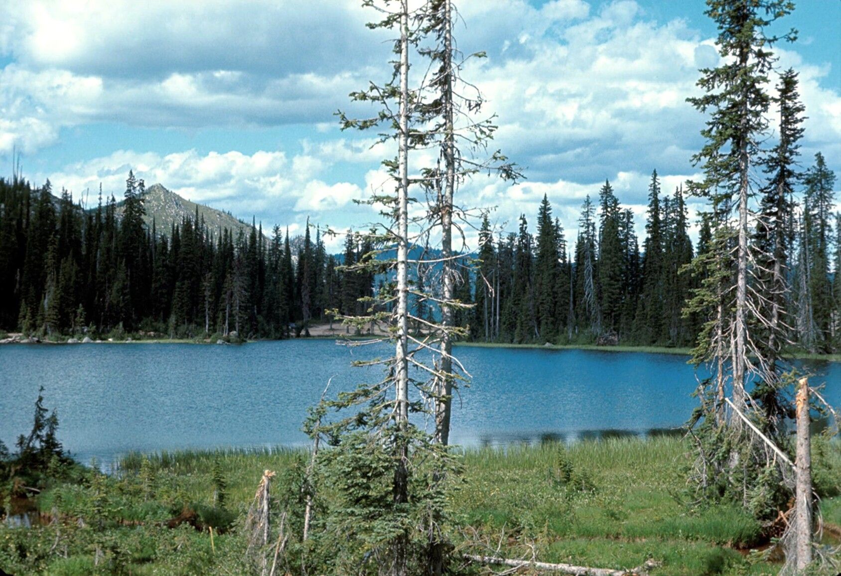 Stagleap Park