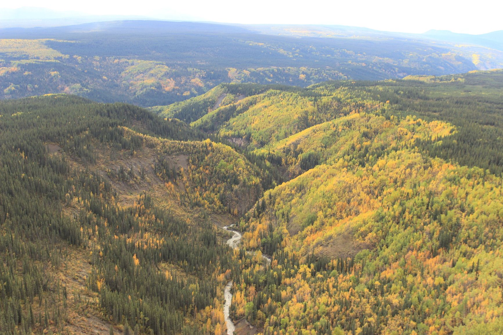 Stikine River Park