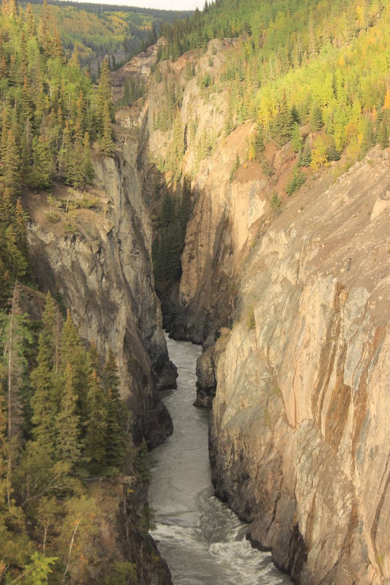 Stikine River Park
