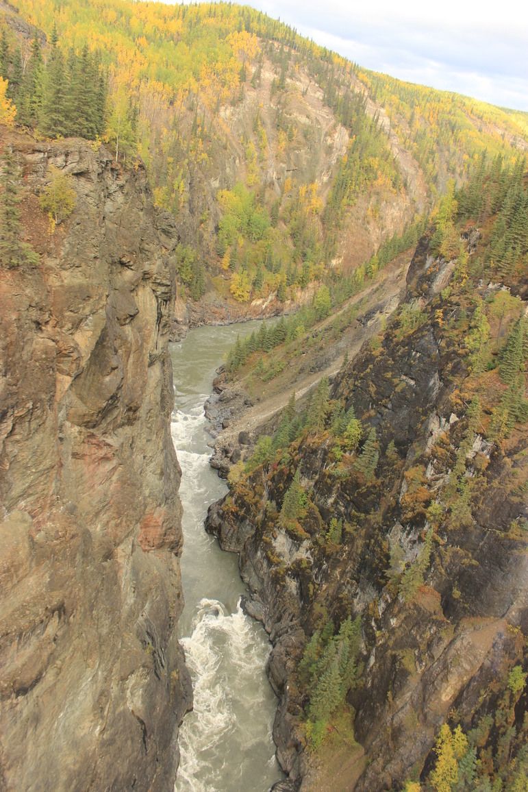 Stikine River Park