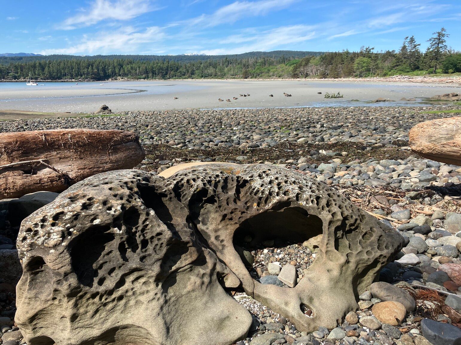 Millions of years of wind, waves, and tidal action have sculpted the sandstone shoreline at Tribune Bay Park into intricate honeycomb patterns and natural arches, revealing the ancient geological history of the Salish Sea.