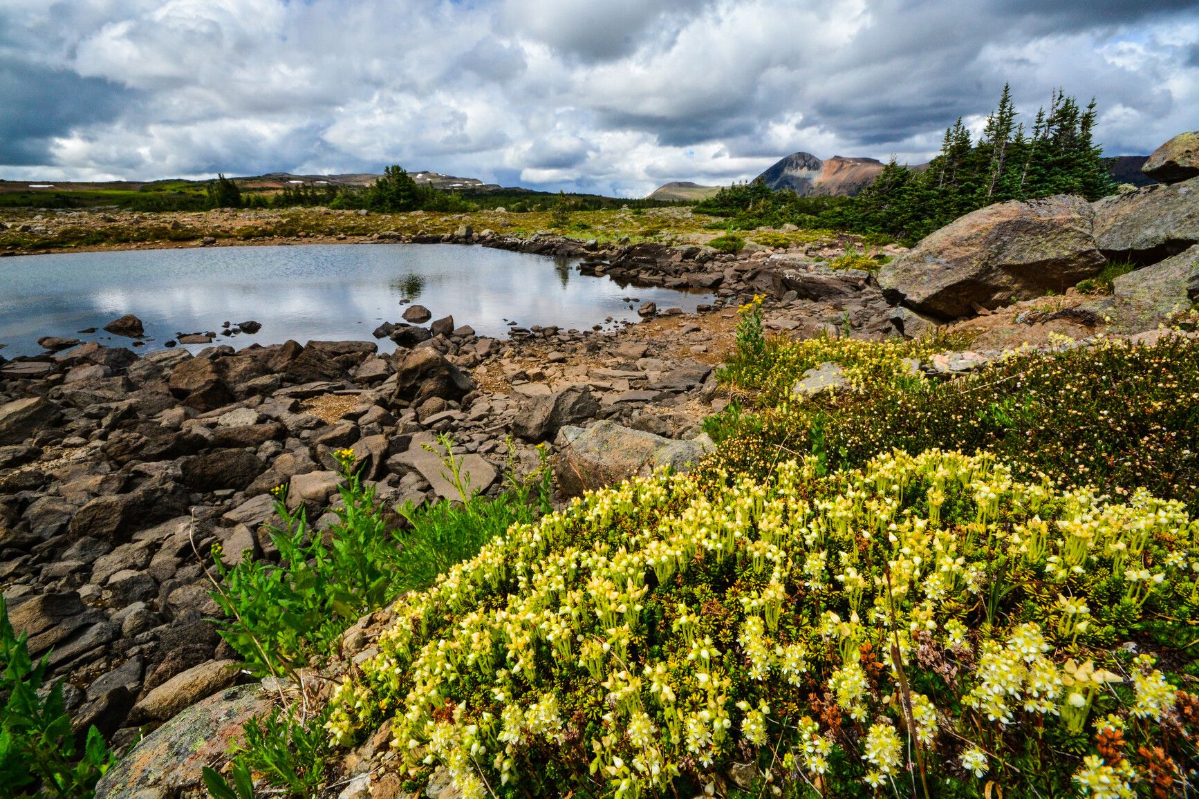 Tweedsmuir South Provincial Park