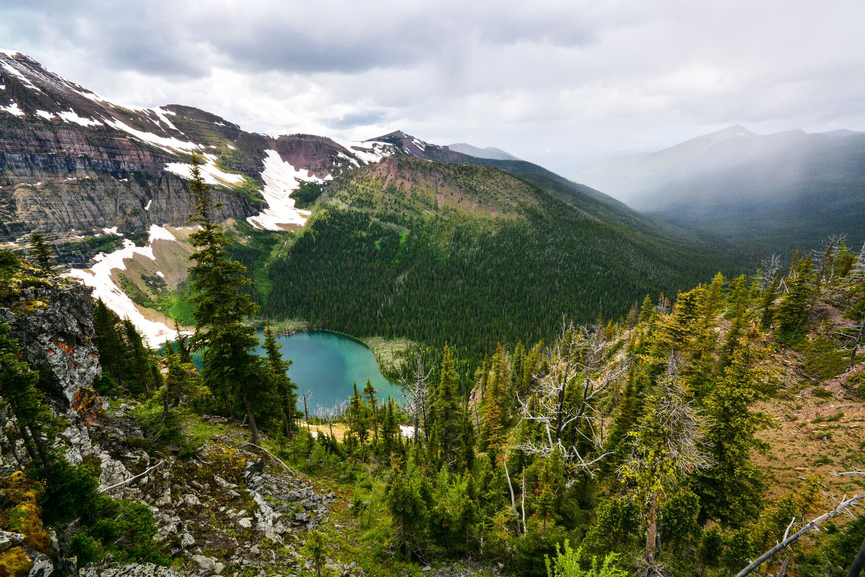 Wall Lake seen from Akamina Ridge. This stunning proglacial lake is nestled within the pristine beauty of Akamina-Kishinena Park.