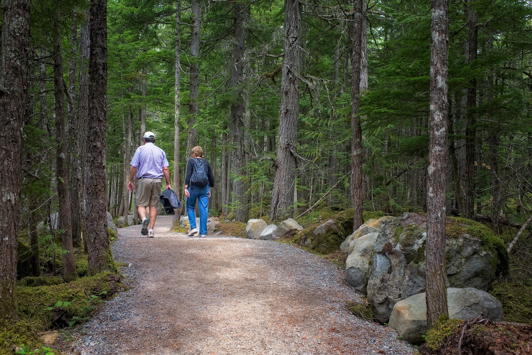 Park visitors walking down a path through the forest.