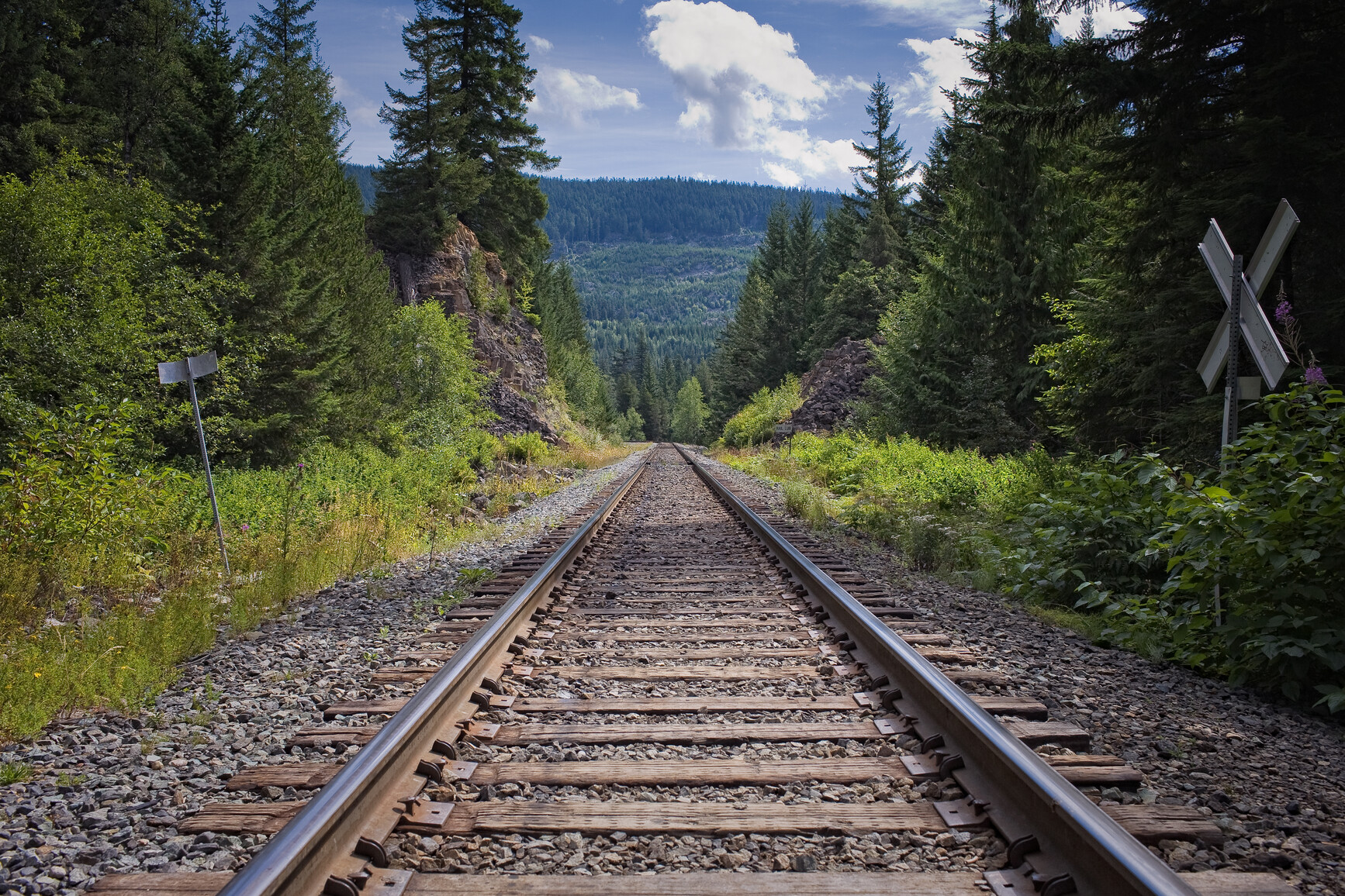 Rail tracks running through the forest. In the background forest covered mountains.