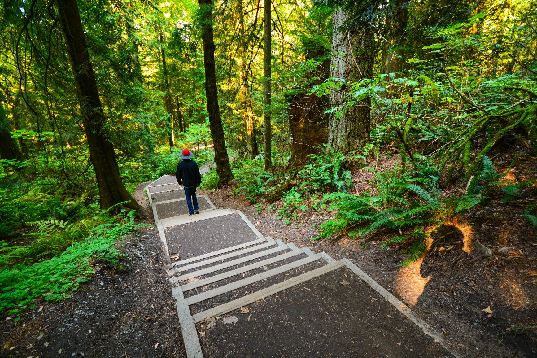 Bridal Veil Falls Park features wide, level steps on its trails.