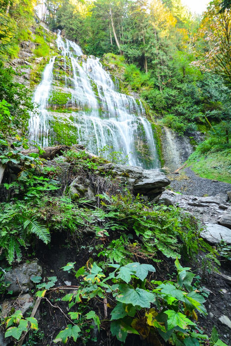 Bridal Veil Falls reveals its majestic beauty as it flows down its moss-covered face, surrounded by lush forest.
