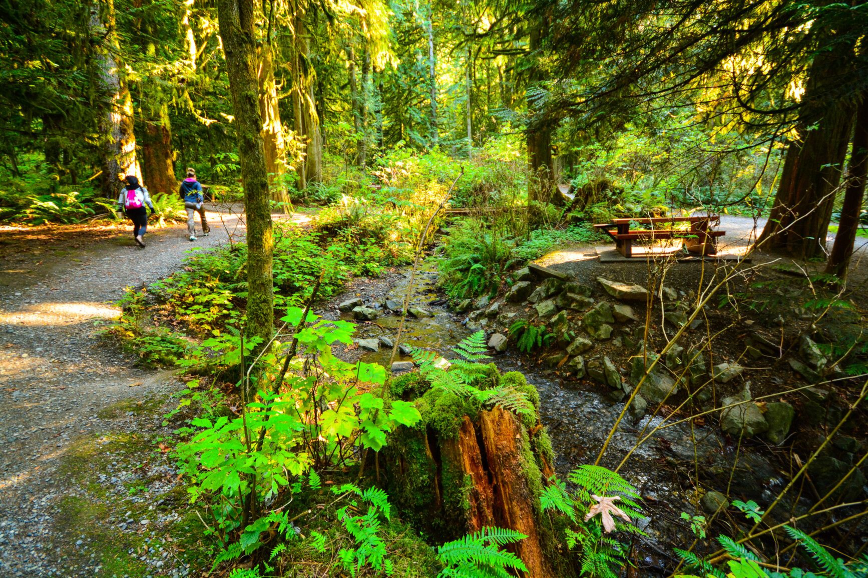 Bridal Veil Falls Park has wide, accessible trails and day-use picnic areas where you can relax and get lost in the soothing sound of a stream flowing through the forest.