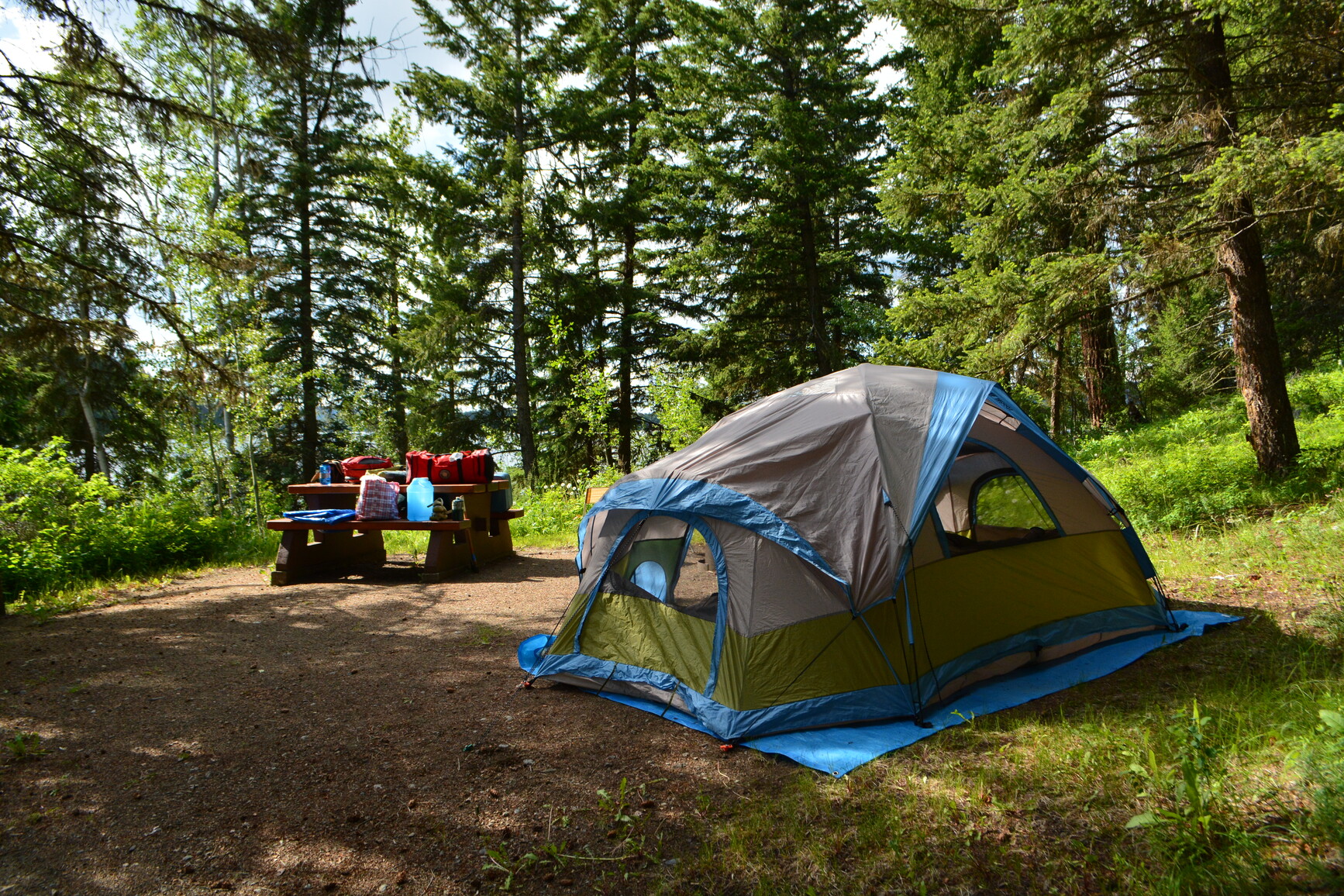 Nestled amidst trees and offering a scenic lake vista, Bridge Lake Park features spacious campsites.