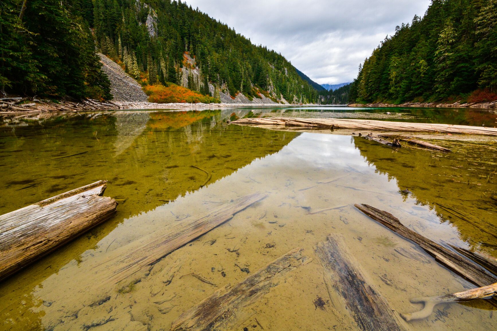 Discover Greendrop Lake in Sx̱ótsaqel/Chilliwack Lake Park, where floating logs drift amidst the waters, surrounded by towering mountains and a lush, colorful forest.