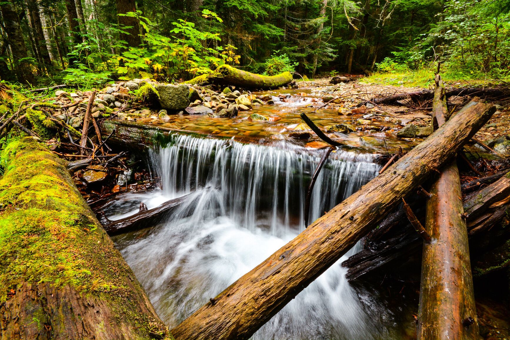 Moss-covered logs frame a serene waterfall in Sx̱ótsaqel/Chilliwack Lake Park.
