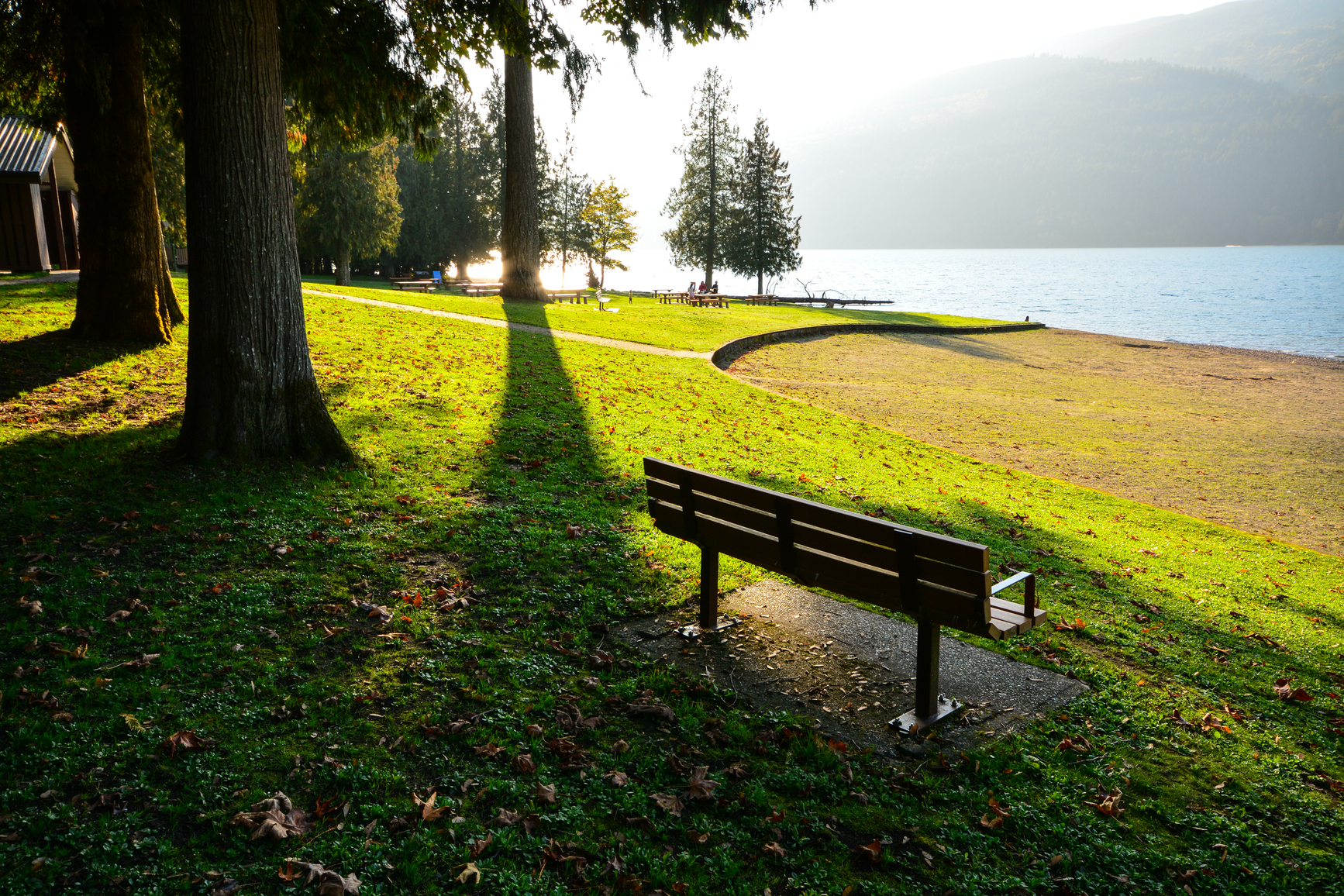Bench in the shade overlooking the lake
