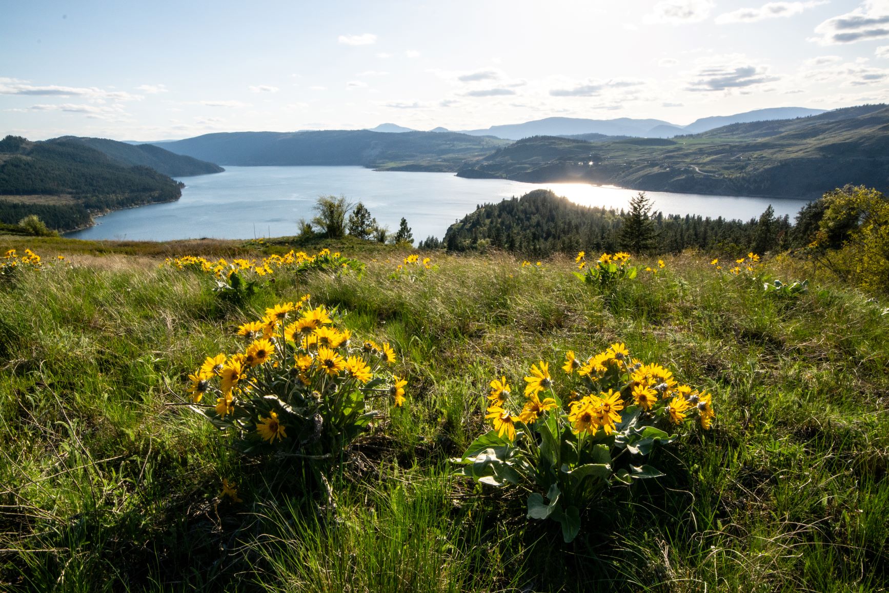 A view do the grasslands overlooking the lake. Photo credit: Destination BC