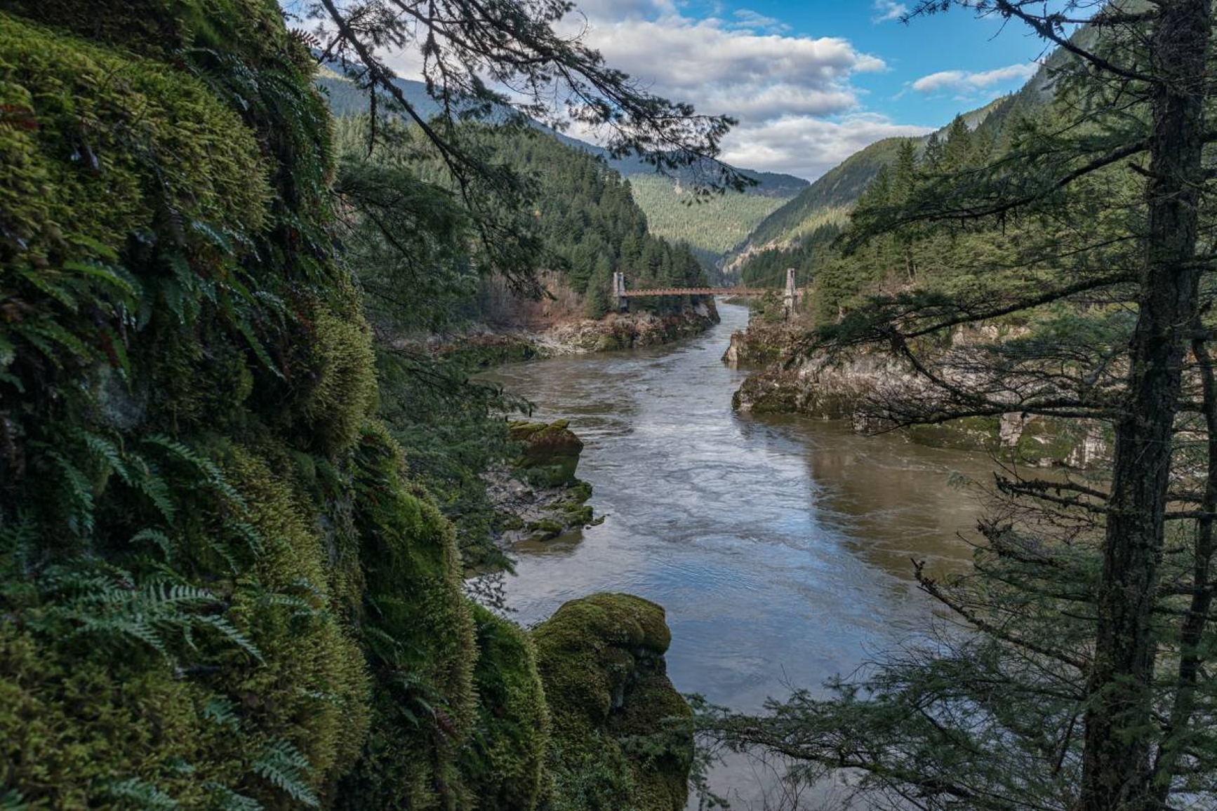 Alexandra bridge crossing the Fraser River. Mountains and lush forests provide a spectacular backdrop. Moss and ferns covering a rocky outcrop frame the view.  Photo credit: Destination BC.