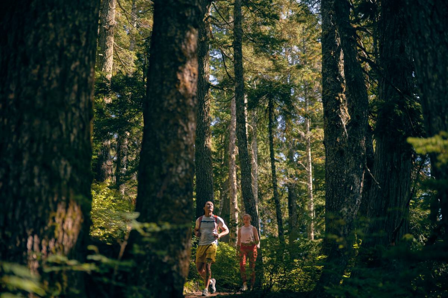 Two park visitors are walking through a forested trail. Large trees surround them. Photo credit: Destination BC