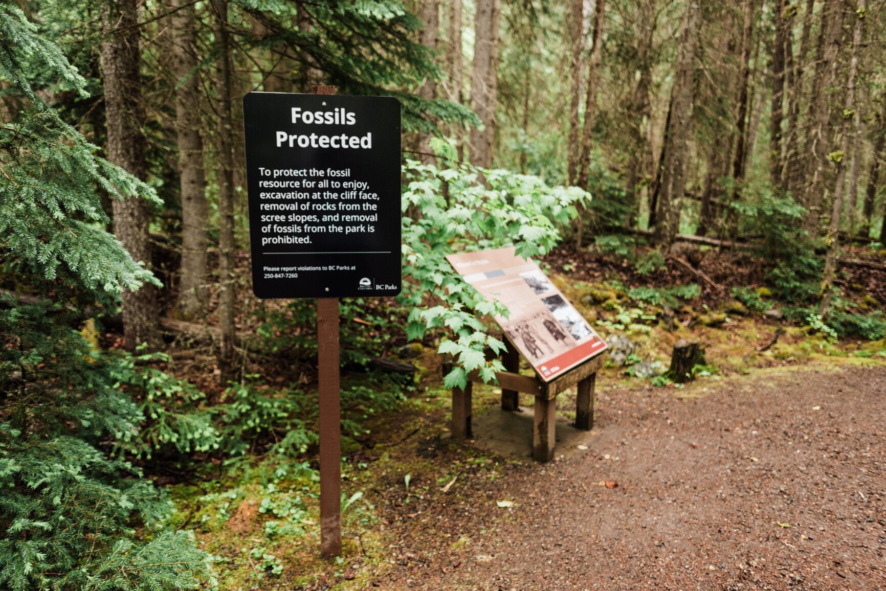Driftwood Canyon Park