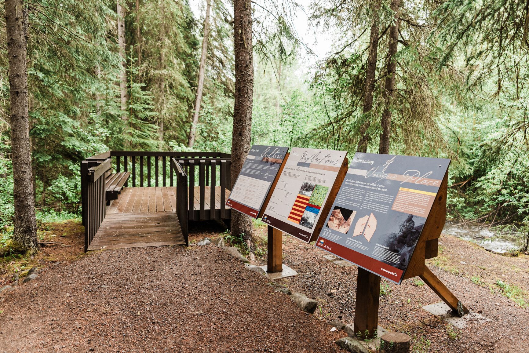 Driftwood Canyon Park