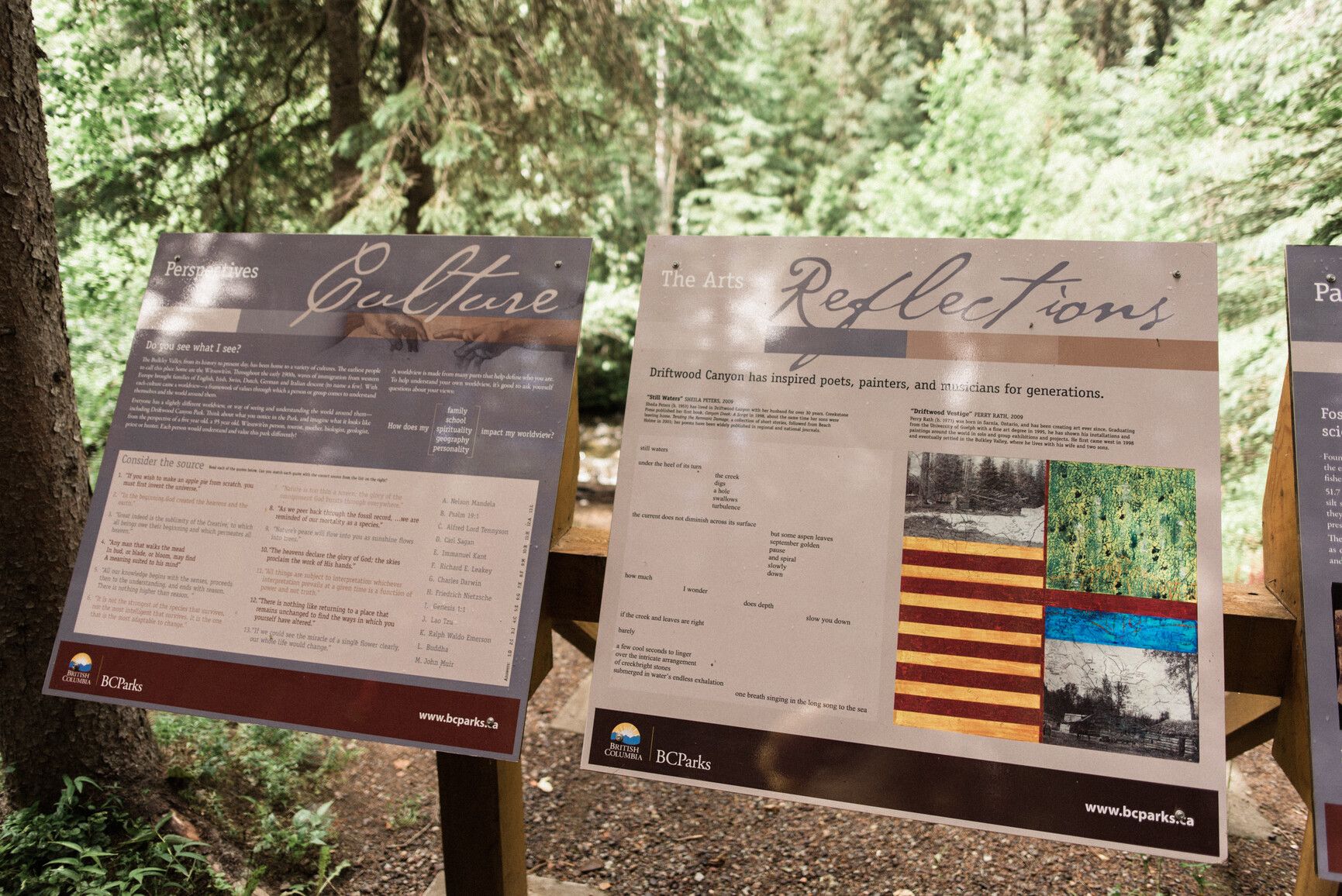 Driftwood Canyon Park
