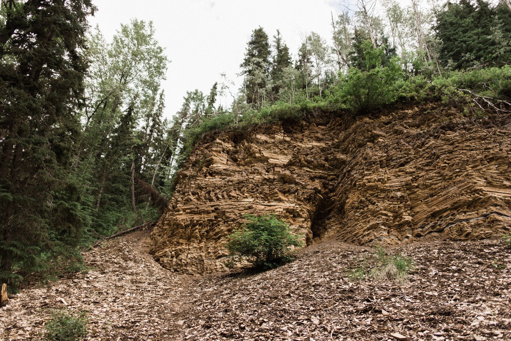 Driftwood Canyon Park