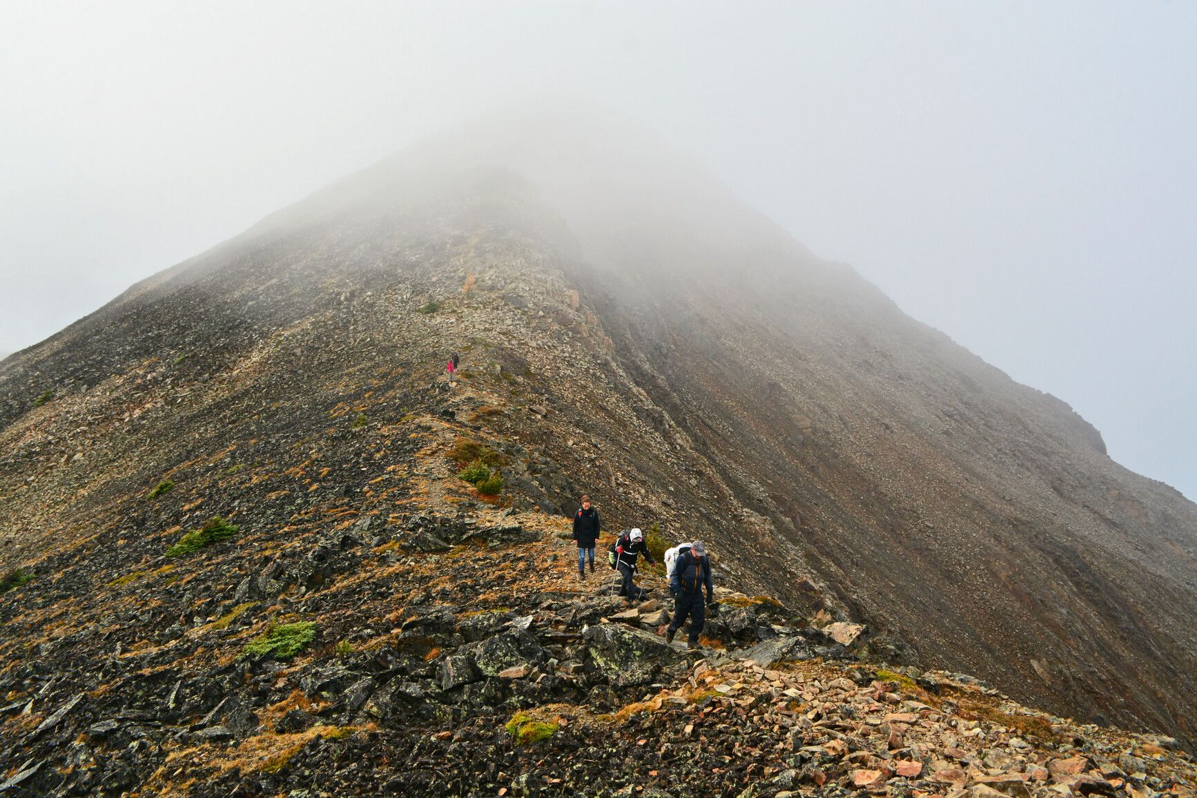 Hikers traverse the ridge of Mount Frosty Trail in E.C. Manning Park, embracing the alpine beauty.