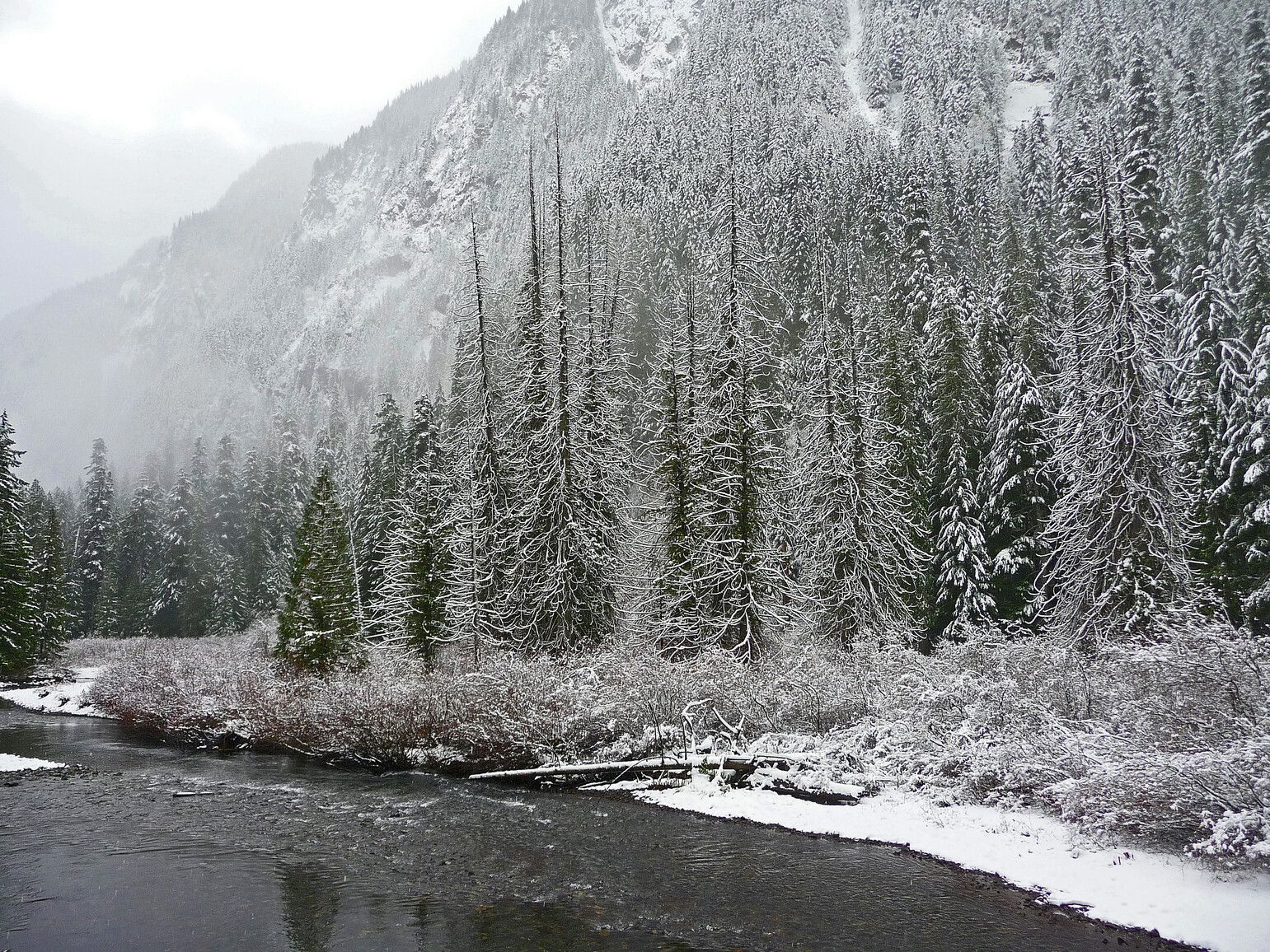 Snow blankets the trees and banks of the Sumallo River in E.C. Manning Park, transforming the landscape into a winter wonderland.