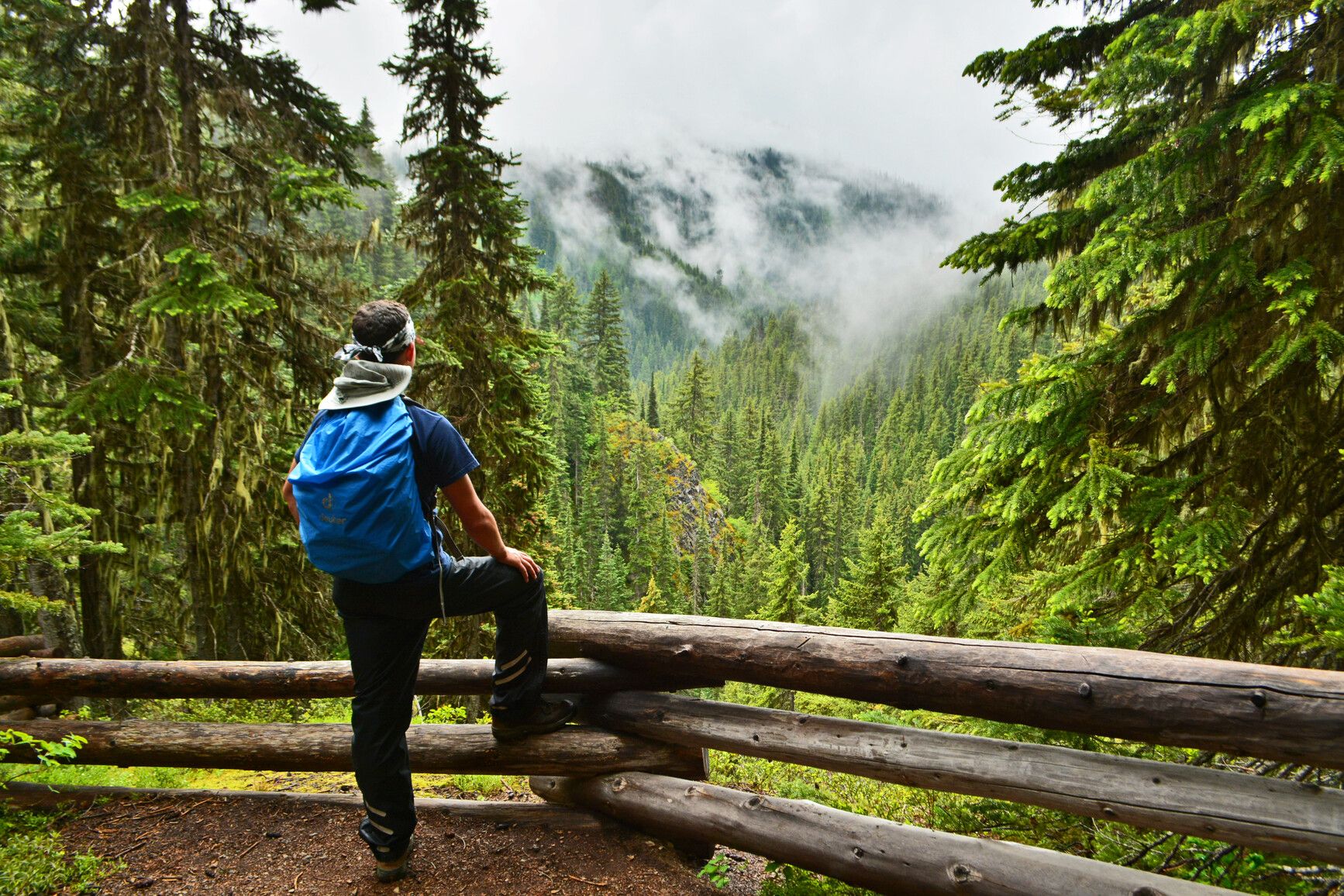 A hiker pauses for a view from Three Falls Trail, E.C. Manning Park.