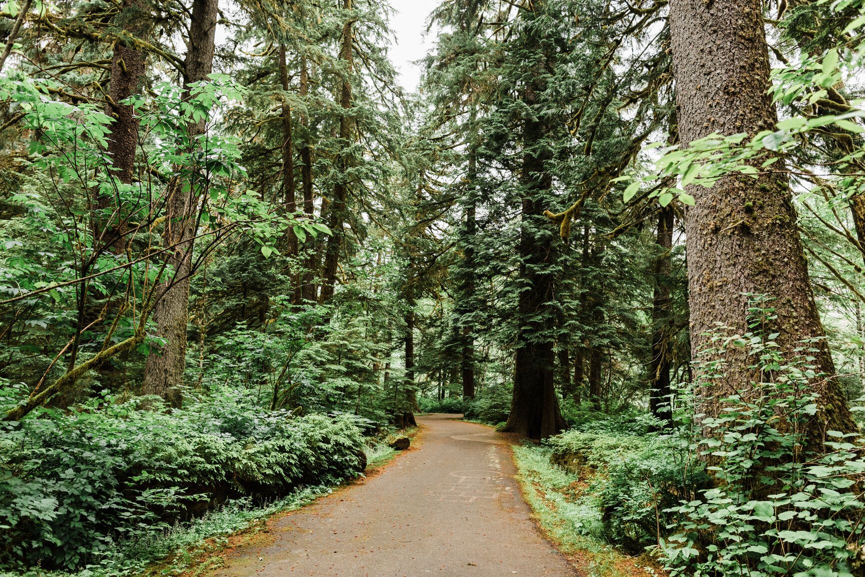 Exchamsiks River Park