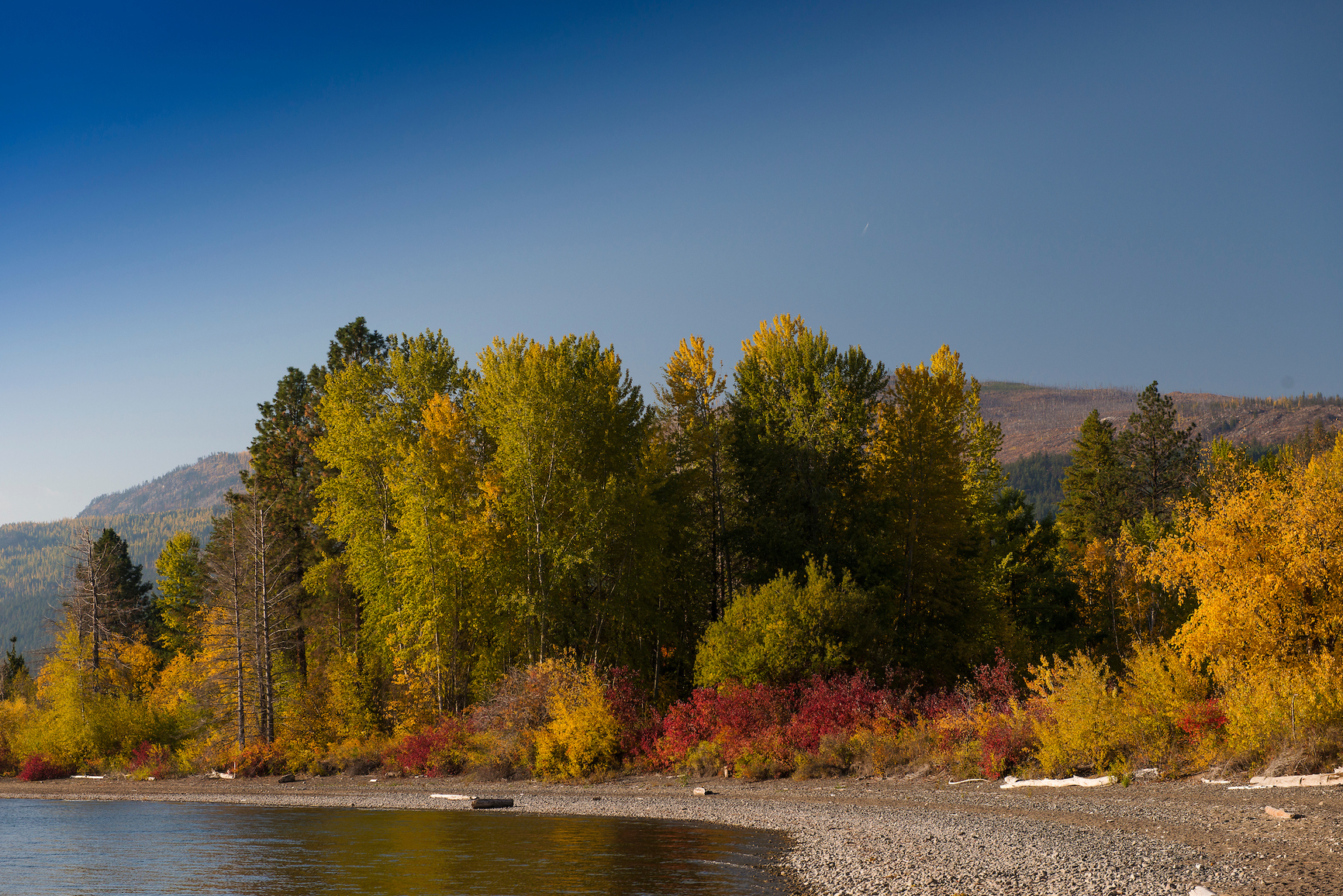 Rocky beach shoreline with deciduous trees changing colour to yellows and reds