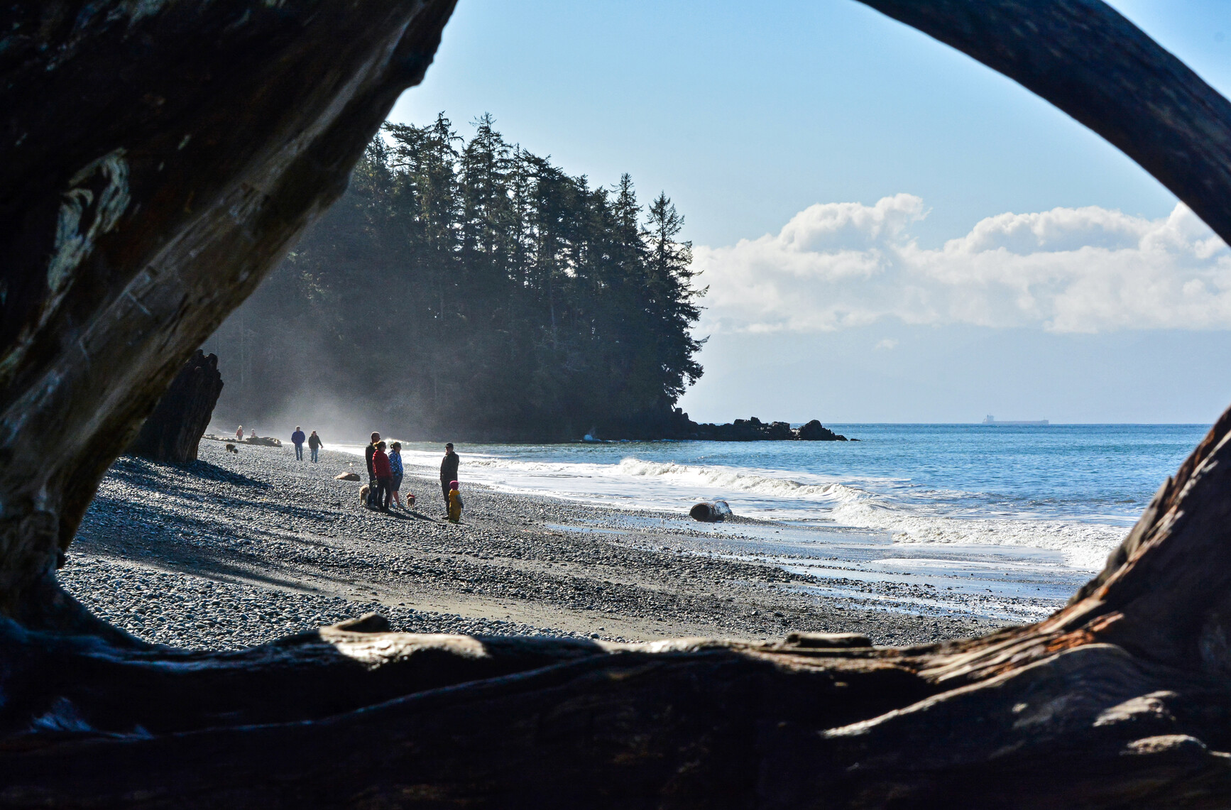 Beach view through log branches. Visitors on beach. Forest in background. Mountain range can be seen across the strait.